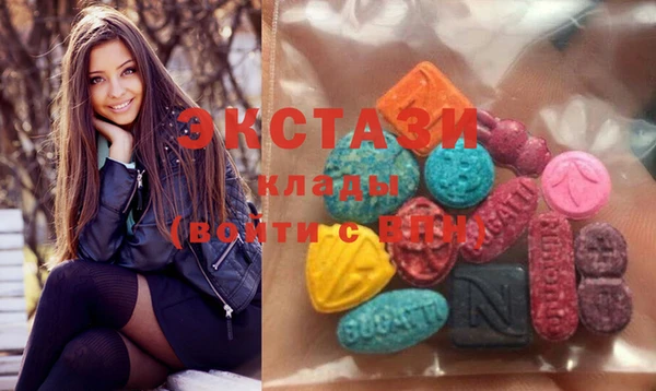 твердый Вяземский