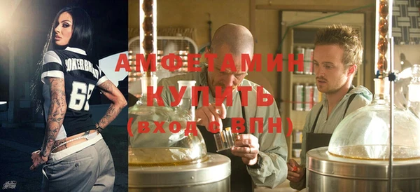 твердый Вяземский