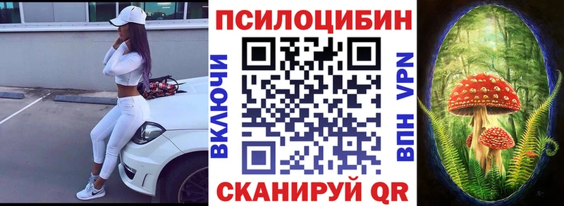 Псилоцибиновые грибы Cubensis blacksprut зеркало Чусовой магазин продажи наркотиков